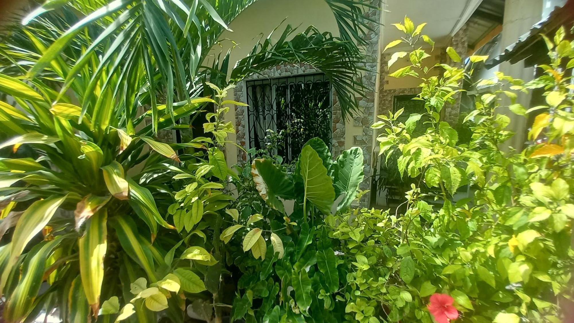 Mount Zion Guest House, Mtwapa Mtomondoni Mombasa Eksteriør bilde