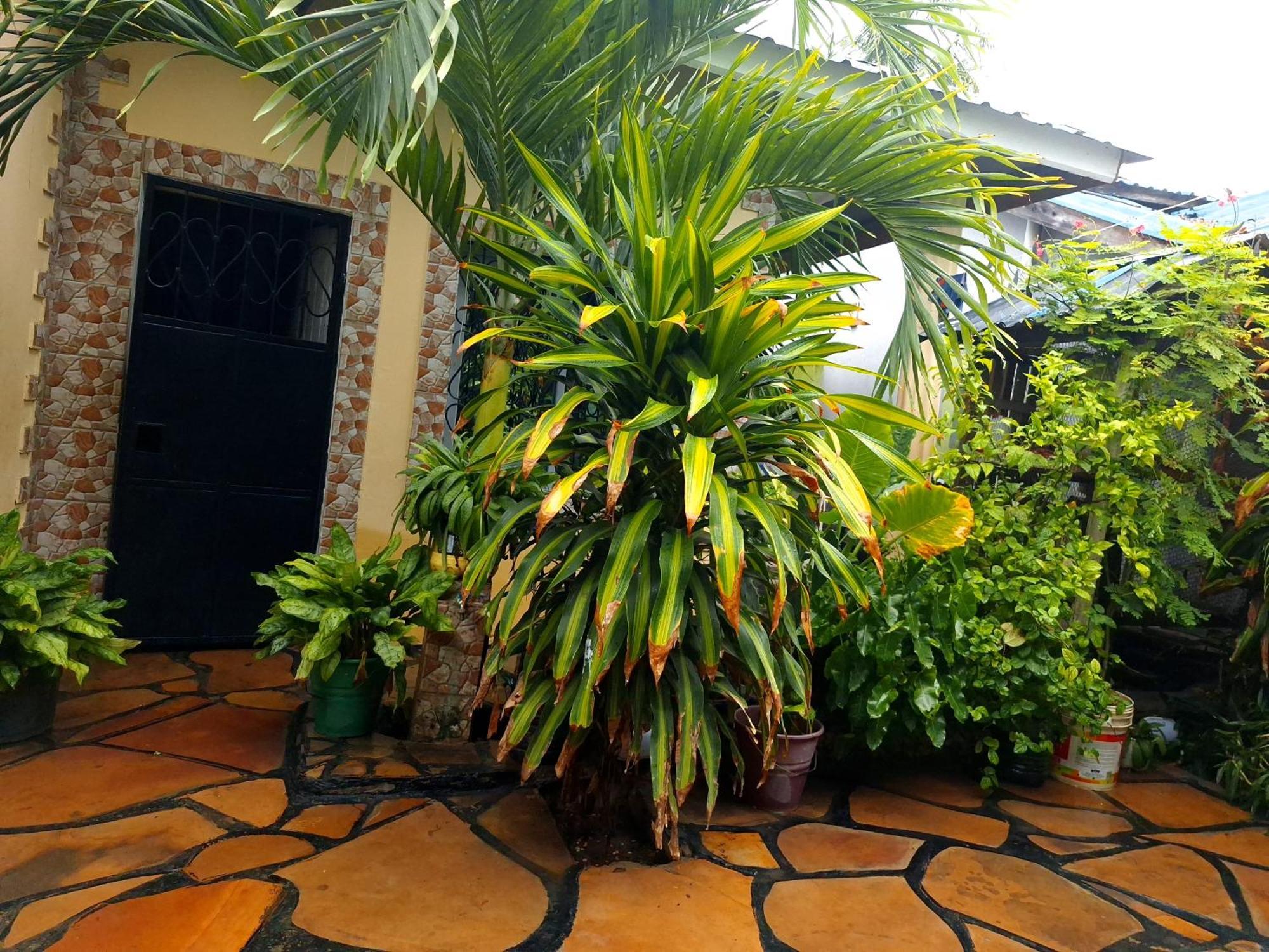 Mount Zion Guest House, Mtwapa Mtomondoni Mombasa Eksteriør bilde